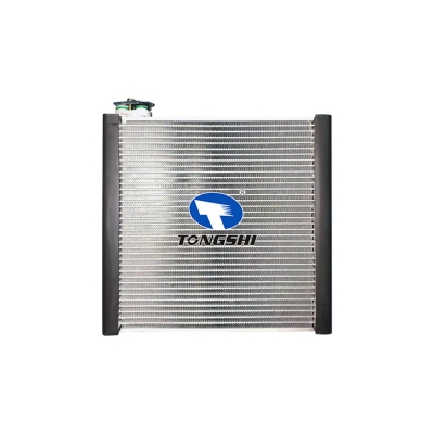 适用于  丰田 陆地巡洋舰 10-  蒸发器