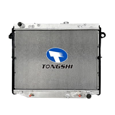 适用于丰田兰德酷路泽 AT OEM:1640066110/1640066111