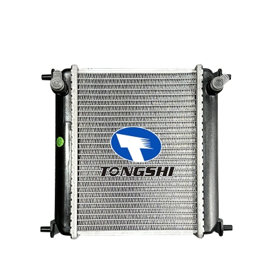 适用于  宝马X5 X6 X7 HEV  散热器