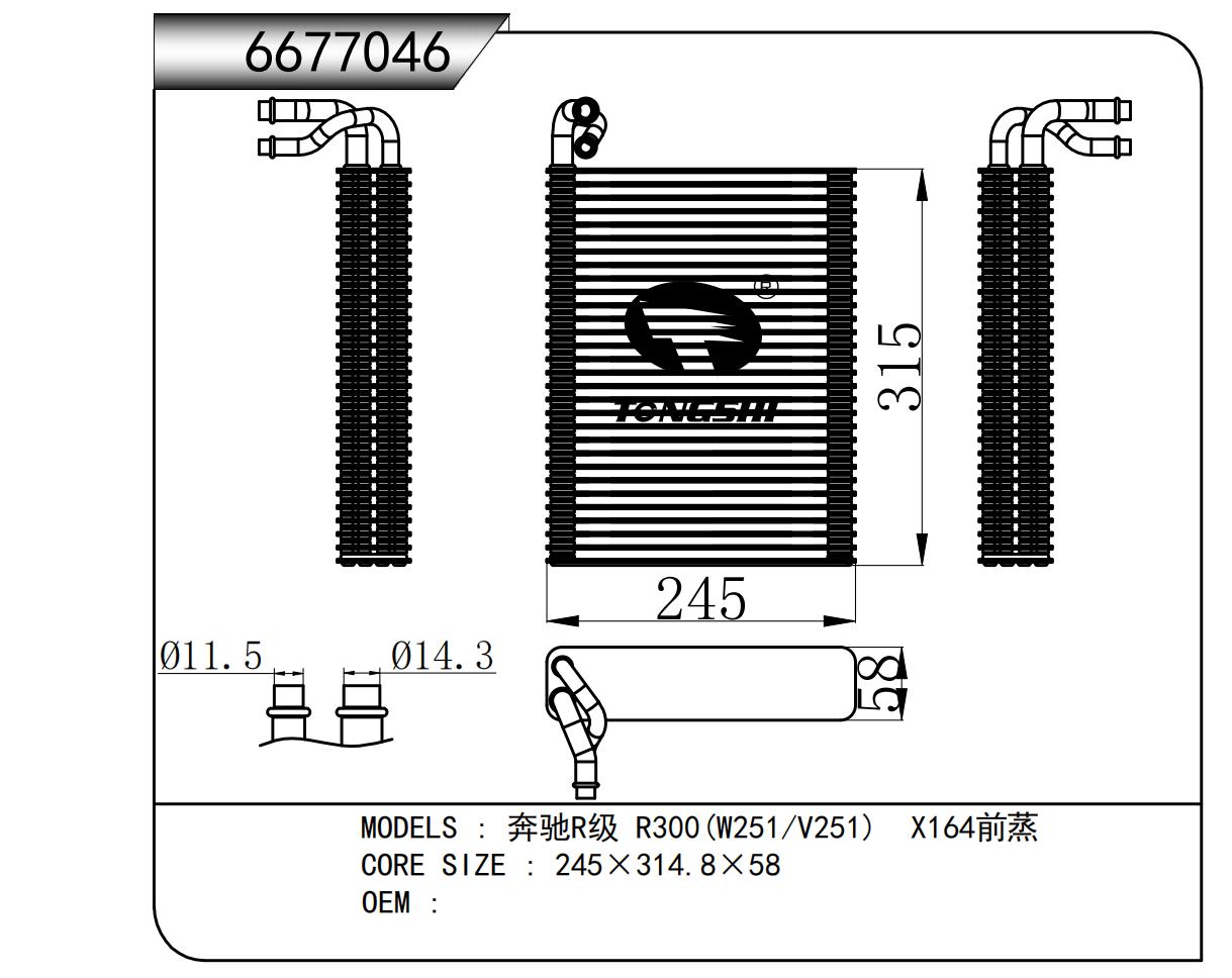 6677046.jpg