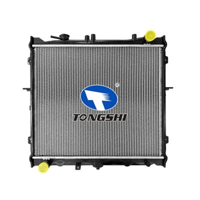 适用于狮跑 2.0i16V 98- MT 散热器