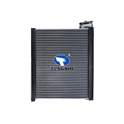 适用于 丰田普拉多(GRJ120)/FJ/ 4RUNNER/GX470 04-09 蒸发器