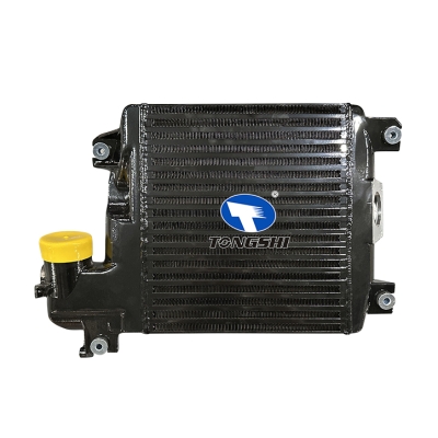 适用于  VIGO CHAMP 12- 中冷器