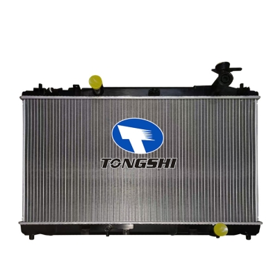 适用于TOYOTA CAMRY ACV40/2AZ