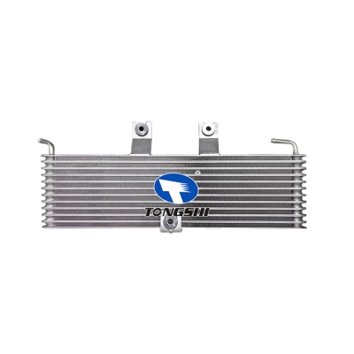 适用于 TRANSMISON ENFRIADOR ACEITE雷诺科雷傲09油散