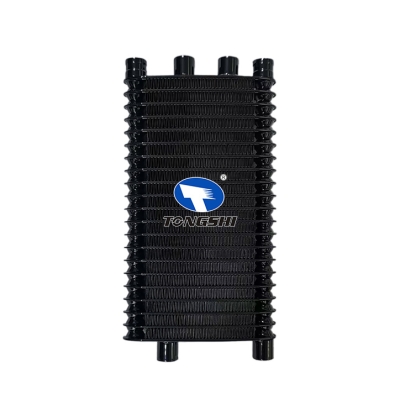 适用于 FT 凯迪拉克 XLR 06-09 油散