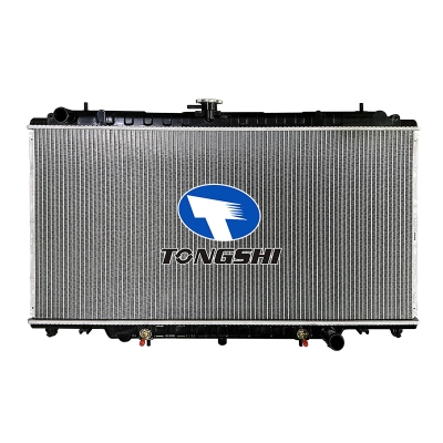 适用于SAFARI Y61 AT散热器